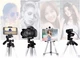 Штатив тринога металевий для телефону та камери Tripod 3110 Чорний для професійної зйомки портативний трипод - зображення 2