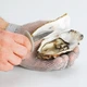 Нож для устриц Tescoma Presto Seafood 15 см (421080) - изображение 4