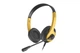 Навушники A4Tech FH100U (Bumblebee) - зображення 1