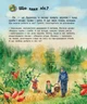 Набір книжок Ранок "Енциклопедія дошкільника: Ліс" та "Природа", українською мовою - зображення 9