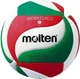 Piłka do siatkówki Molten V5M2200 (4905741846275) - obraz 1