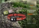 Фонарь налобный Fenix HL16 AAA Светло-зеленый (HL16AAAgreen) - изображение 7