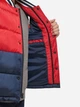 Теплый жилет мужской Levi`s 4633976 L Синий/Красный (1159783301) - изображение 4