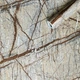Самоклеюча плівка Sticker Wall бежевий мармур 0,45 х 10м х 0,07мм SW-00001278 - зображення 1