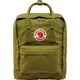 Рюкзак Fjallraven Kanken Guacamole 23510.612 - изображение 1