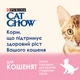 Упаковка влажного корма для котят Purina Cat Chow Kitten кусочки в желе с индейкой и цуккини 85 г x 26 шт - изображение 5