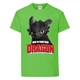 Футболка детская Как приручить дракона (DRAGONS) светло-зеленая (dragon-05-green) 104 см. - изображение 1