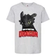 Футболка детская Как приручить дракона (DRAGONS) серая (dragon-05-gray) 152 см - изображение 1