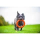 Игрушка-кольцо для собак Collar PitchDog (ПитчДог) оранжевый 20 см - изображение 3