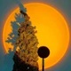Проекционная RGB LED лампа Sunset Lamp с эффектом заката с пультом светильник заката/рассвета 16 оттенков (dl-89) - изображение 4