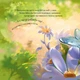 Зворушливі книжки : Найкращий татусь - зображення 6