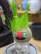 Набор для выращивания экокуб Grow Grass man Травянчик UFT TGG01 - изображение 1