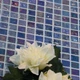 Мозаика из стекла AquaMo PL25304 Cobalt - изображение 11