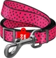 Повідець для собак нейлоновий Collar WAUDOG Nylon, малюнок "Кавун", регульований, S, Ш 15 мм, Дов 152-183 см (5356) - зображення 1