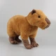 Мягкая игрушка "Капибара" 35 cm Коричневый (sv1805-3) - изображение 3