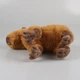 Мягкая игрушка "Капибара" 35 cm Коричневый (sv1805-3) - изображение 5