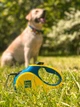 Поводок-рулетка для собак WAUDOG R-leash, рисунок "Colors of freedom", светоотражающая лента, размер S, до 15 кг, 5 м (381-4020) - изображение 11