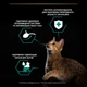 Влажный корм для кошек Purina Pro Plan Sterilised Maintenance кусочки в соусе с курицей 85 г (7613036092852) - изображение 4