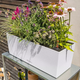 Вазон Lechuza Balconera Stone 50 Бежевый - изображение 9