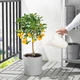Лійка ІКЕА IKEA PS 2002 1,2 л Білий (60289946) - изображение 3