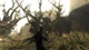 Ключ активації Risen для Xbox One/Series S/X - зображення 2