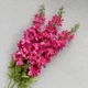 Искусственный дельфиниумй ярко-розовый VD 047 - изображение 2