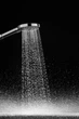 Ручная лейка для душа HANSGROHE Raindance Select S 120 26014000 - изображение 15