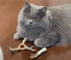 Іграшка для котів Petstages для зубів з кошачаю м'ятою (0871864003267) - зображення 2