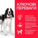 Корм Hill's Science Plan Canine Adult Medium Breed Lamb & Rice сухий з ягнятим для собак середніх порід 14 кг - зображення 2