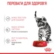 Вологий корм для кошенят Royal Canin Kitten Sterilised Gravy pouch 9+3 шт х 85 г - изображение 3