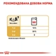 Вологий корм для собак Royal Canin Chihuahua Adult pouch 85 г, 3+1 шт - свійський птах - зображення 7