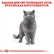 Royal Canin British Shorthair Adult 500 г (Власне Фасування) (2105756464) - изображение 5