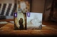 Настольная игра Geekach Games Дюна: Тайны Великих Домов (Dune: House Secrets) - изображение 4