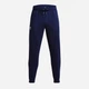 Спортивные штаны утепленные мужские Under Armour Essential Fleece Jogger 1373882-410 M Синие (196039157072) - изображение 5