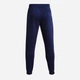 Спортивные штаны утепленные мужские Under Armour Essential Fleece Jogger 1373882-410 M Синие (196039157072) - изображение 6