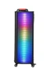 Портативна колонка валіза XPRO NDR-1010S 100Вт, USB, SD, FM радіо, Bluetooth, 2 мікрофон, ДК (41193-NDR-1010S) - зображення 3