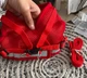 Поводок для собак и кошек M Red 4PawsStar, Chansin (66236597) - изображение 5