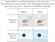 Антенна 4G 3G LTE наружная двойная MIMO 2x 14 dBi TS9 700-2700 МГц 5 метров, внешняя уличная всепогодная - изображение 10