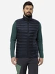 Теплый жилет мужской Jack Wolfskin Pilvi Down Vest M 1207711-1010 S Темно-синий (4064993896572) - изображение 1