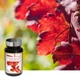 Комплекс Nutriexpert Червона лоза та Гамамеліс / VIGNE ROUGE HAMMAMELIS - Венозна недостатність, 60 капсул (LIDK39) - изображение 3