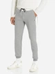 Спортивные штаны утепленные мужские Guess 167203781 2XL Серые (1159784030) - изображение 1