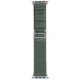 Нейлоновый ремешок Alpine Loop для Apple Watch 42/44/45/49 mm Olive - изображение 1