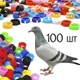 Кольца для домашней птицы маркировочные 100 шт 8 мм Разноцвет (1012-722-00) - изображение 1