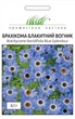 Насіння Брахікома Блакитний вогник Професійне насіння 0.1 г - зображення 1