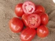 Семена Томат Рио Гранде United Genetics 0.5 г - изображение 4