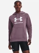 Худи теплое женское Under Armour Ua Rival Fleece Big Logo Hdy 1379501-500 XS (196884499228) - изображение 1