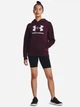 Худи теплое женское Under Armour Ua Rival Fleece Big Logo Hdy 1379501-600 L (196883854073) - изображение 3