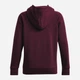 Худи теплое женское Under Armour Ua Rival Fleece Big Logo Hdy 1379501-600 L (196883854073) - изображение 6