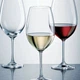 Комплект бокалов для красного вина Schott Zwiesel Burgundy 783 мл 6 шт - изображение 2