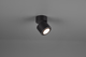 Потолочный светильник Trio TAURUS 5W 450lm 3000K (652910132) - изображение 4